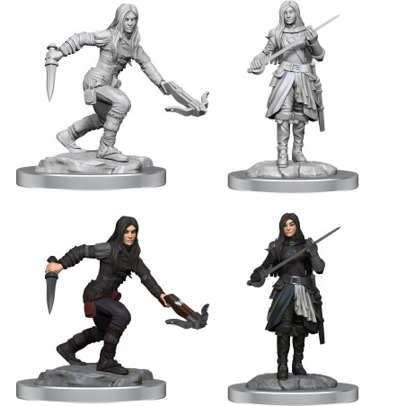 D&D Nolzur's Marvelous...