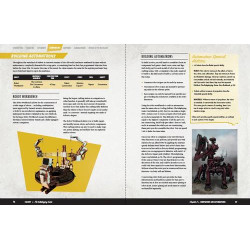 Fallout RPG: Settlers Guide
