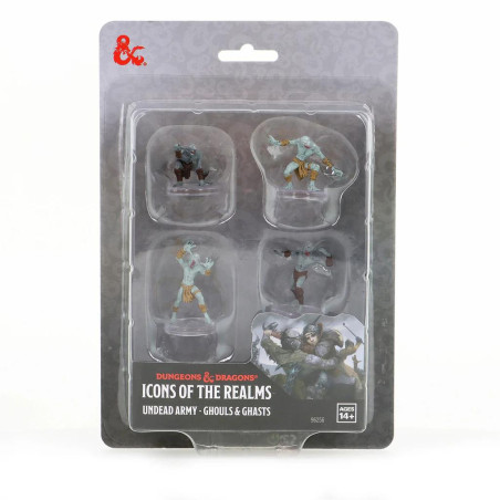 D&D Icons of the Realms...