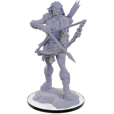 Pathfinder Deep Cuts: Wood...