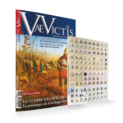 VaeVictis 181 special game...