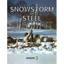 Panzer Grenadier: Snowstorm...