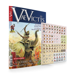 VaeVictis 170 special game...
